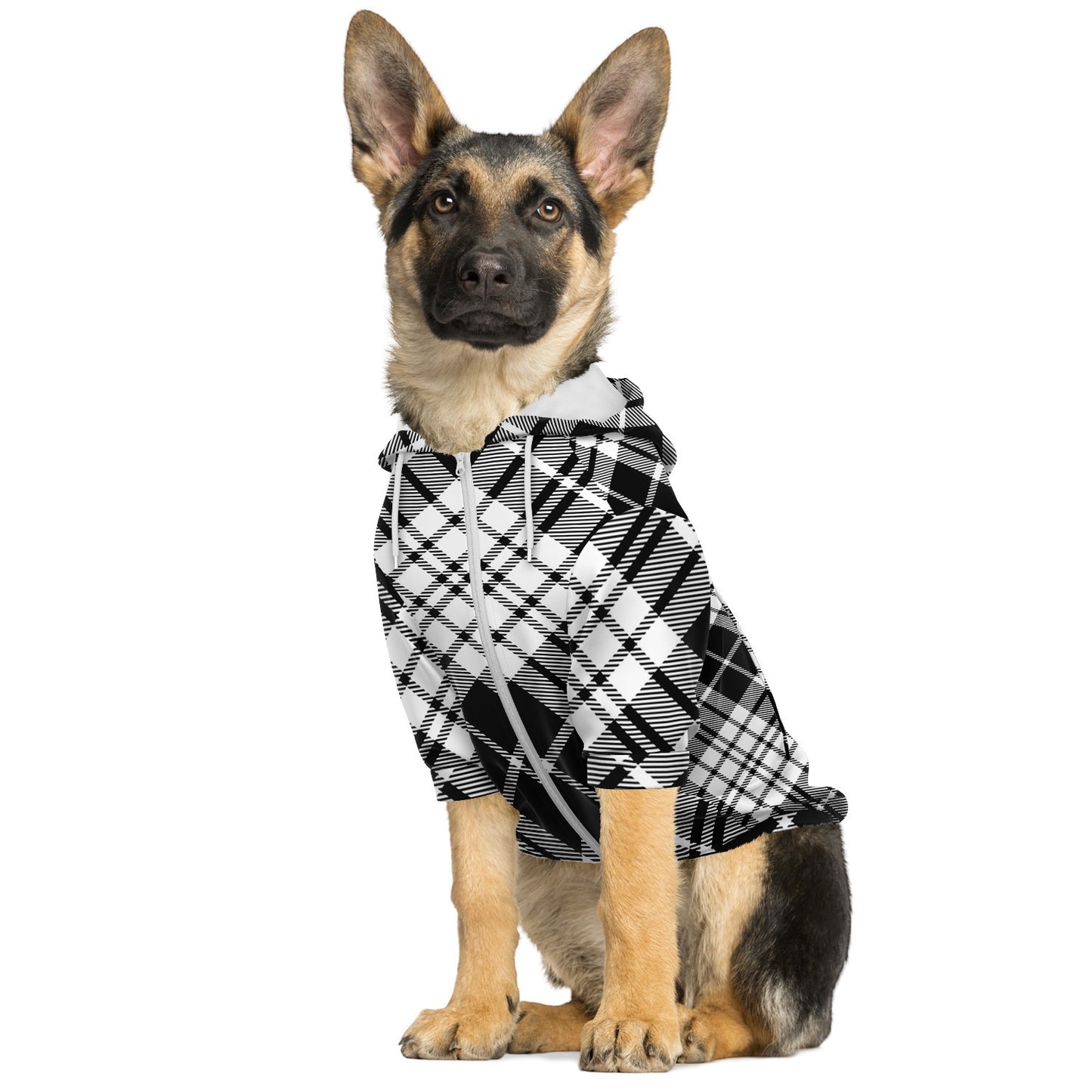 Sudadera con capucha y cremallera para perros de moda invierno 2024 - MADRAS BlackWhite 